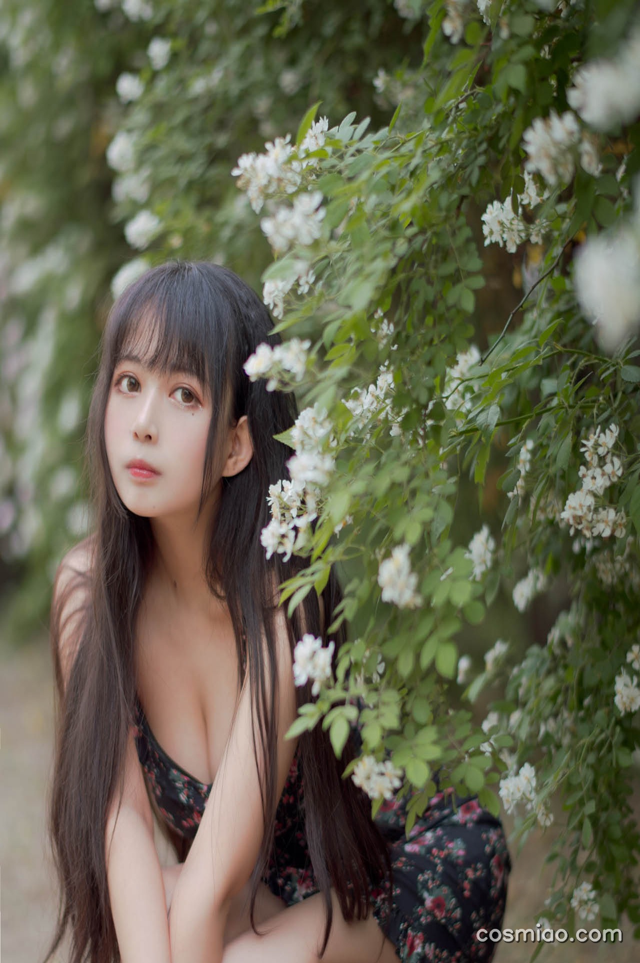 [合集]coser网红《黑猫猫》全套31期+随包视频，大小5.95G[网盘持续自动更新]